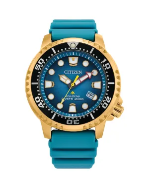 Citizen Promaster Eco-Drive Watch BN0162-02X
